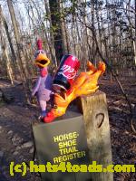 /home//u458753944/public_html/sourcegallery///////Chickens/Soda Addiction/glug glug.jpg